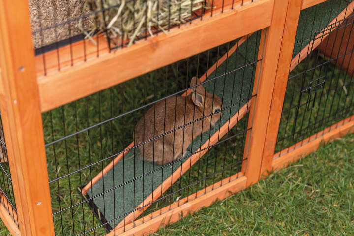 TRIXIE Kleintierstall XL